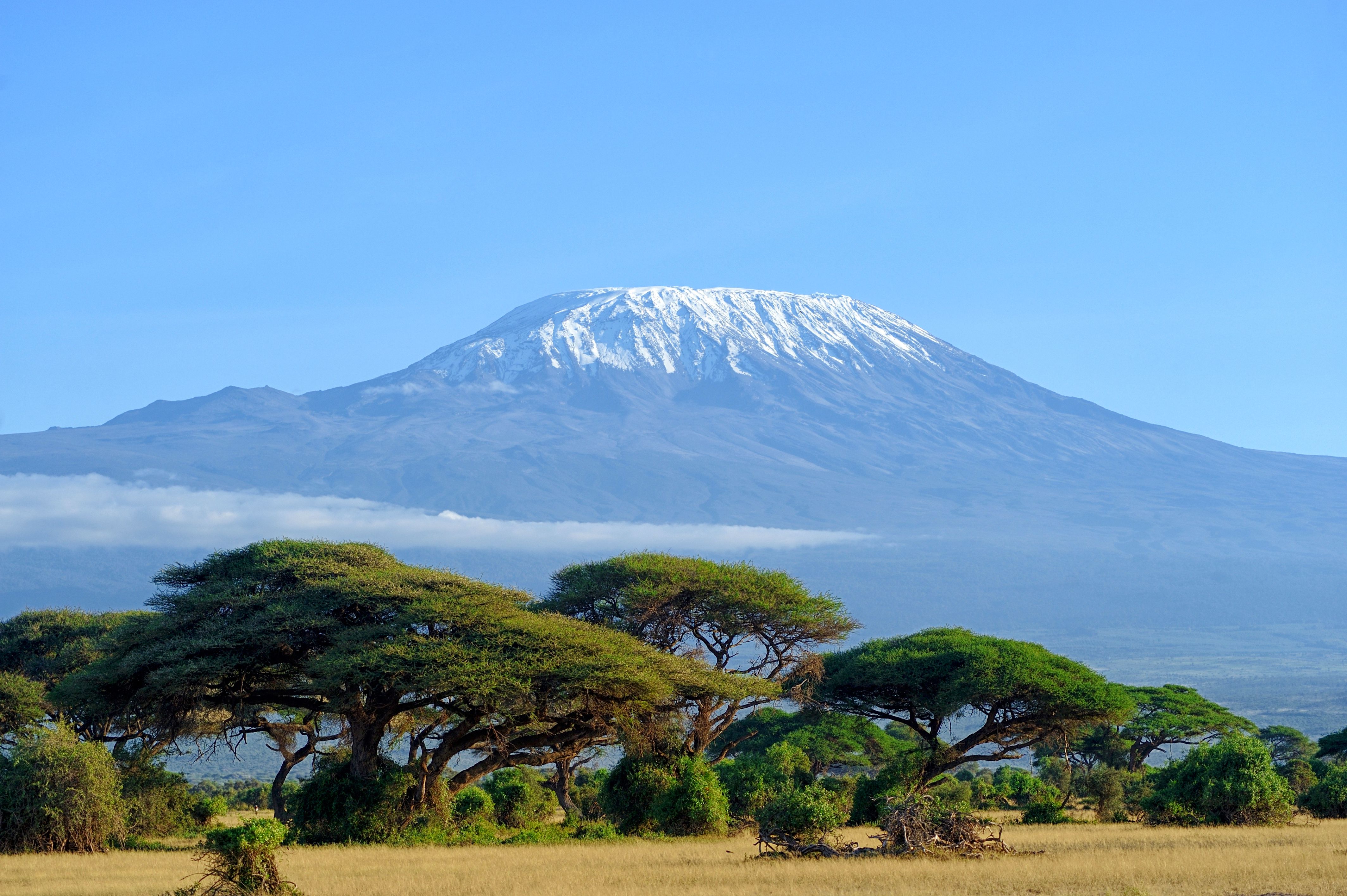 Insights into Trekking Mount Kilimanjaro