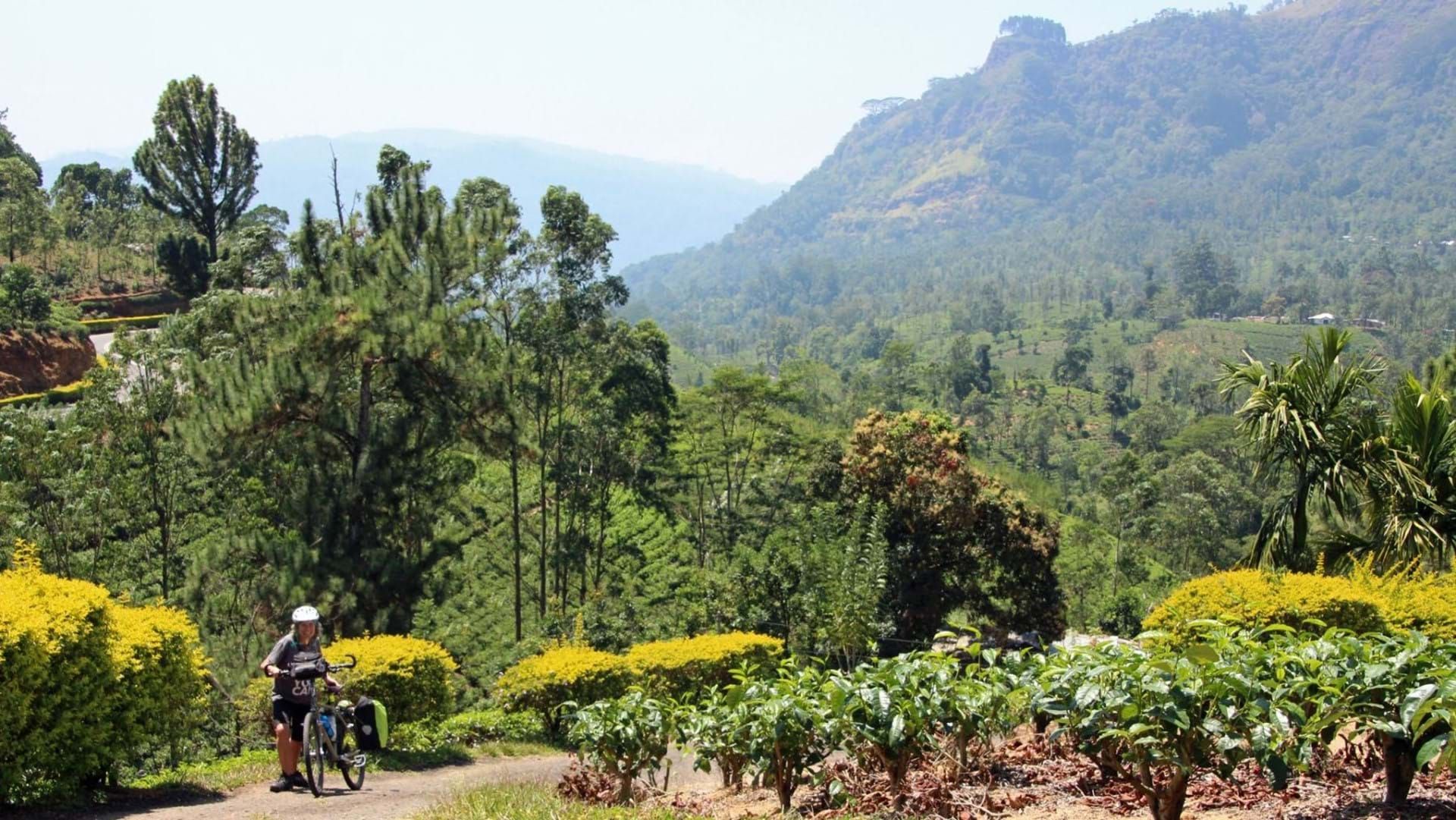 How did you find cycling in Sri Lanka?