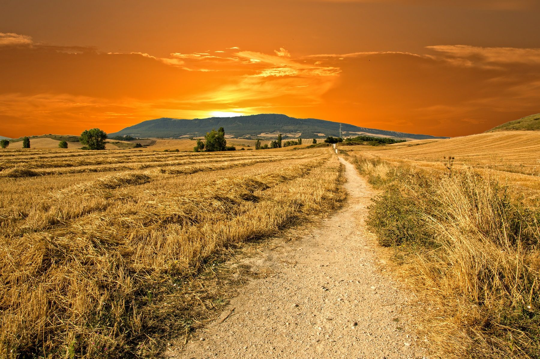 camino-de-santiago-sunset.jpg