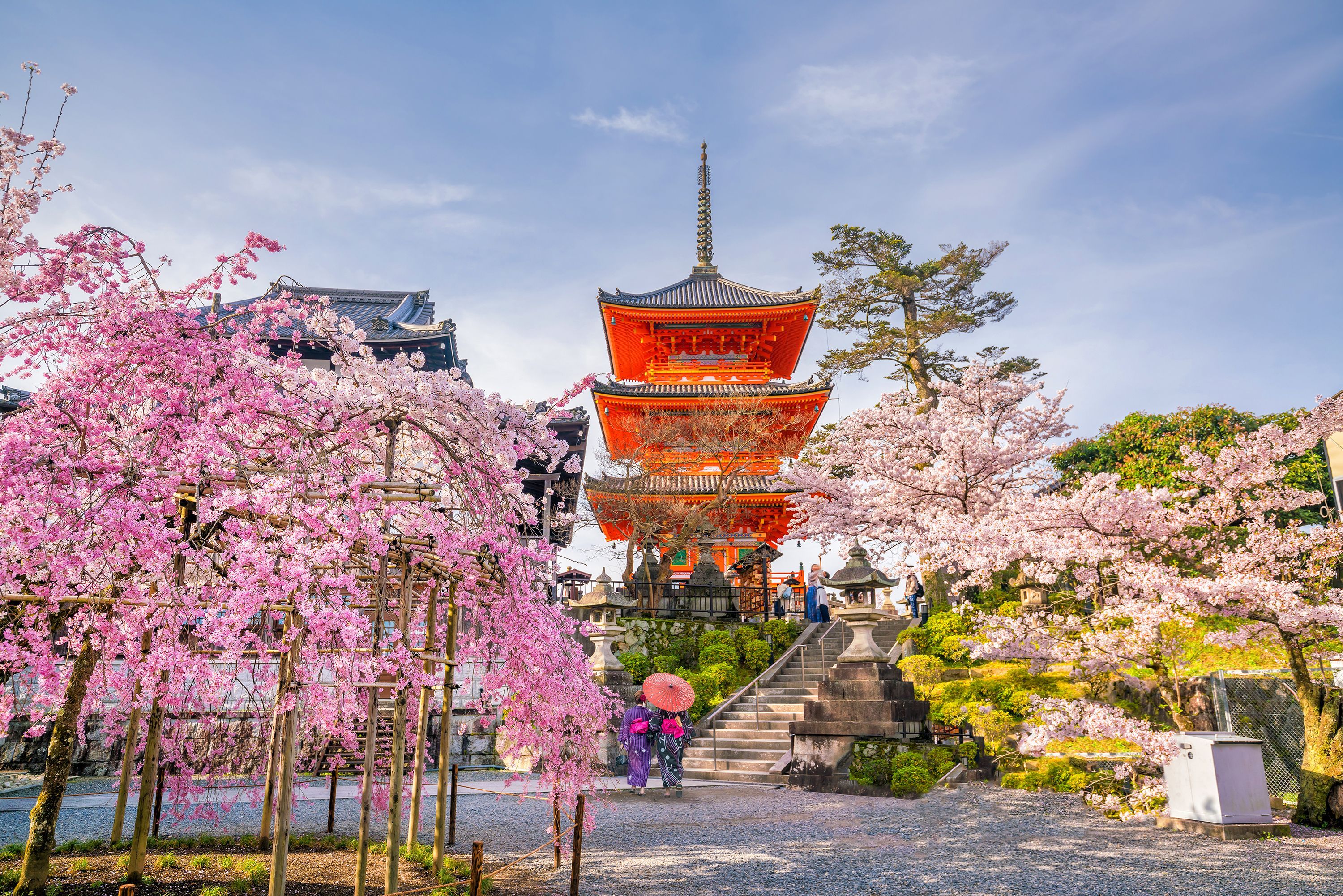 sakura-season-kyoto-kiyomizu-dera-temple