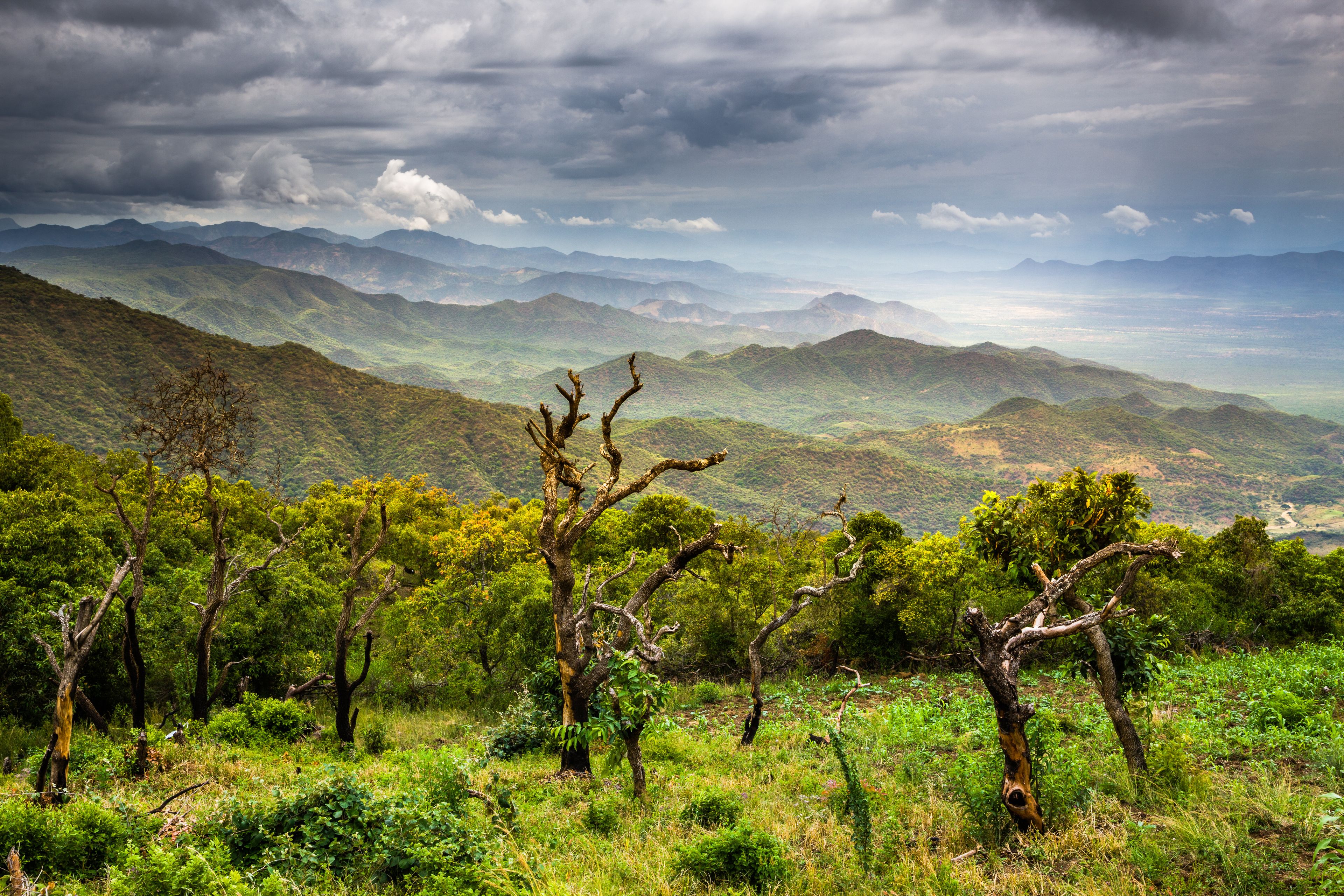 Cycle Ethiopia
