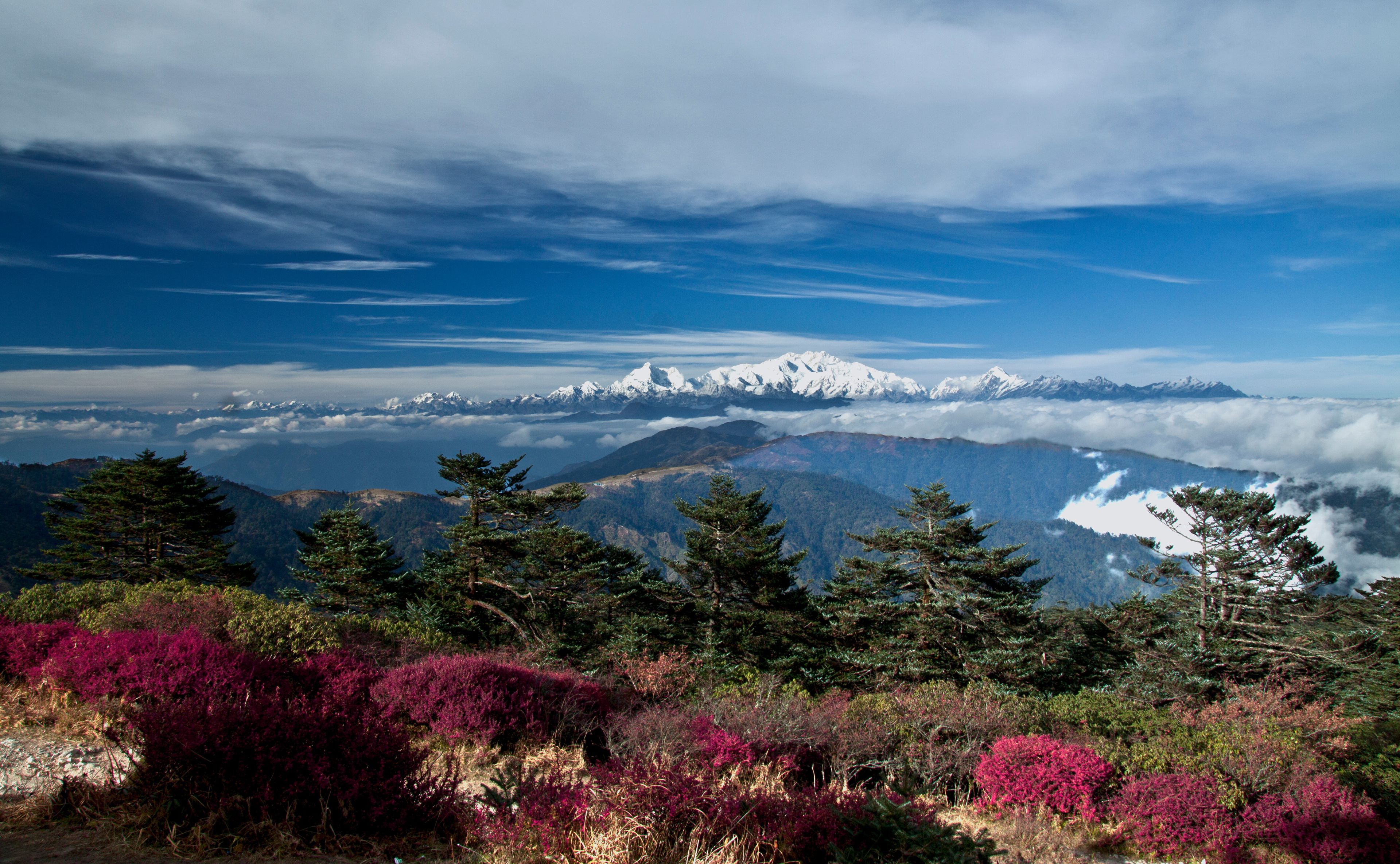 Trek Darjeeling