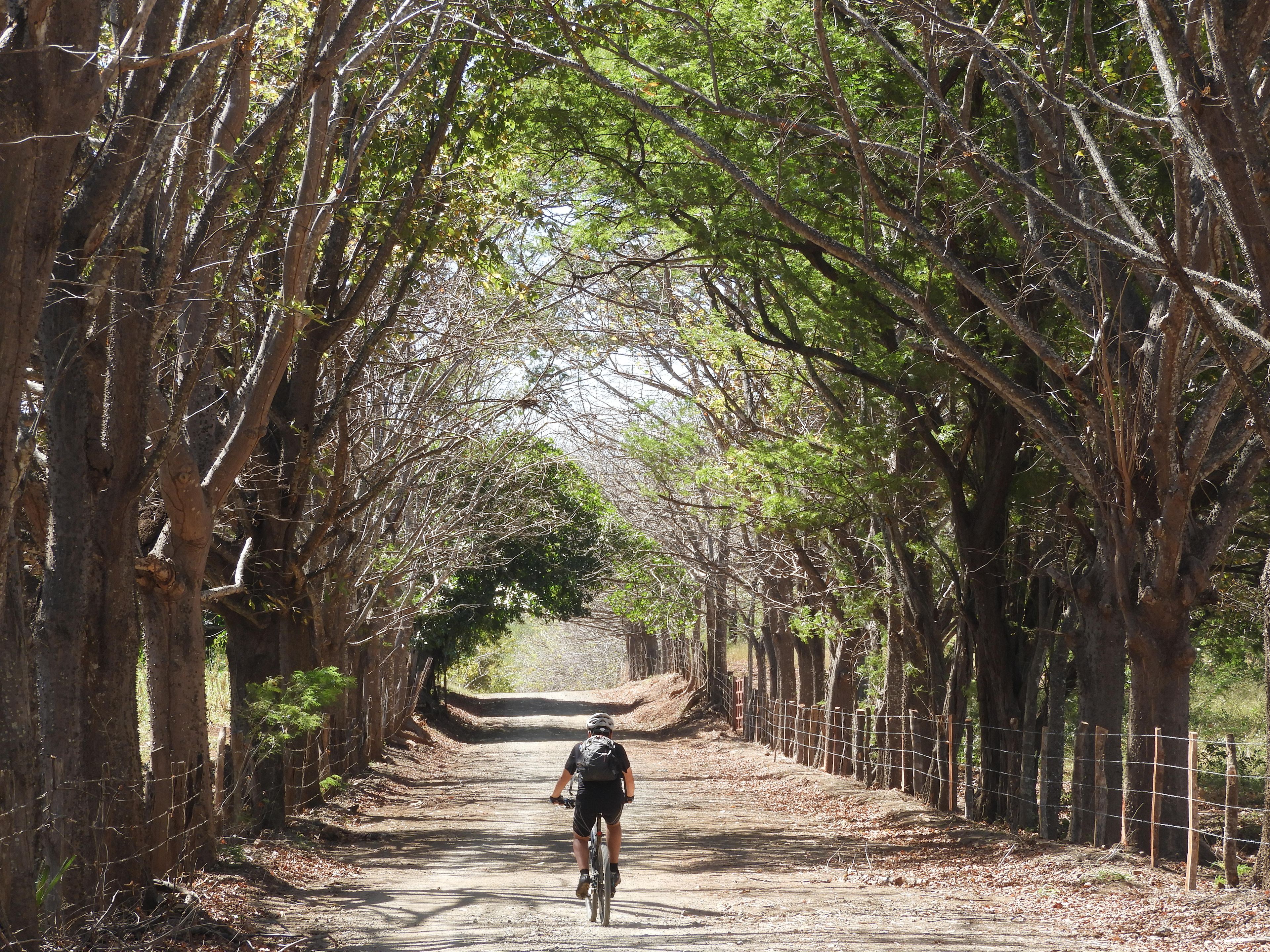 Cycle for a cause - your ride, your impact
