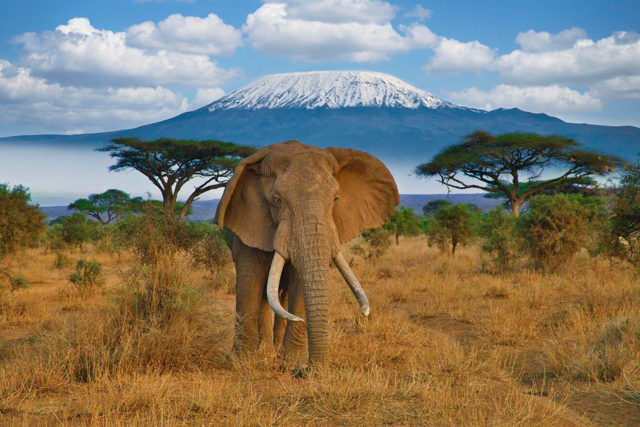 <h1>Participant Resources</h1><p>From social media images to event posters, this is your go to area to support your fundraising for Cycle Kilimanjaro to Coast 2026.</p>