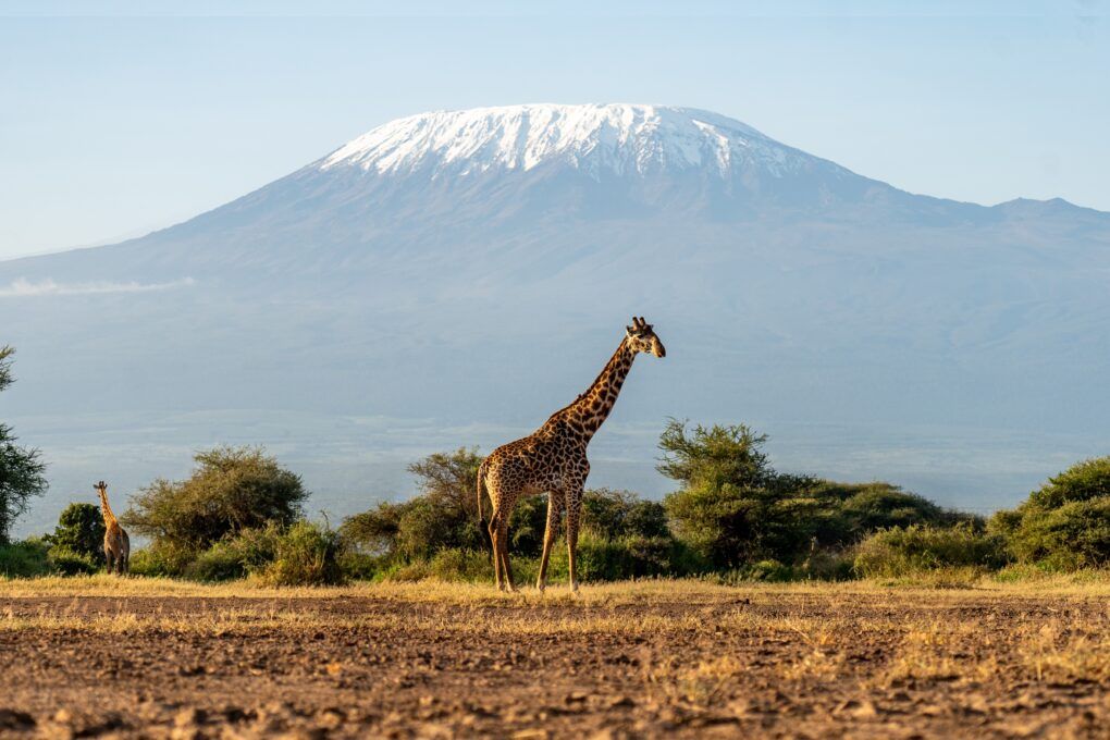Cycle Kilimanjaro to Coast 2026