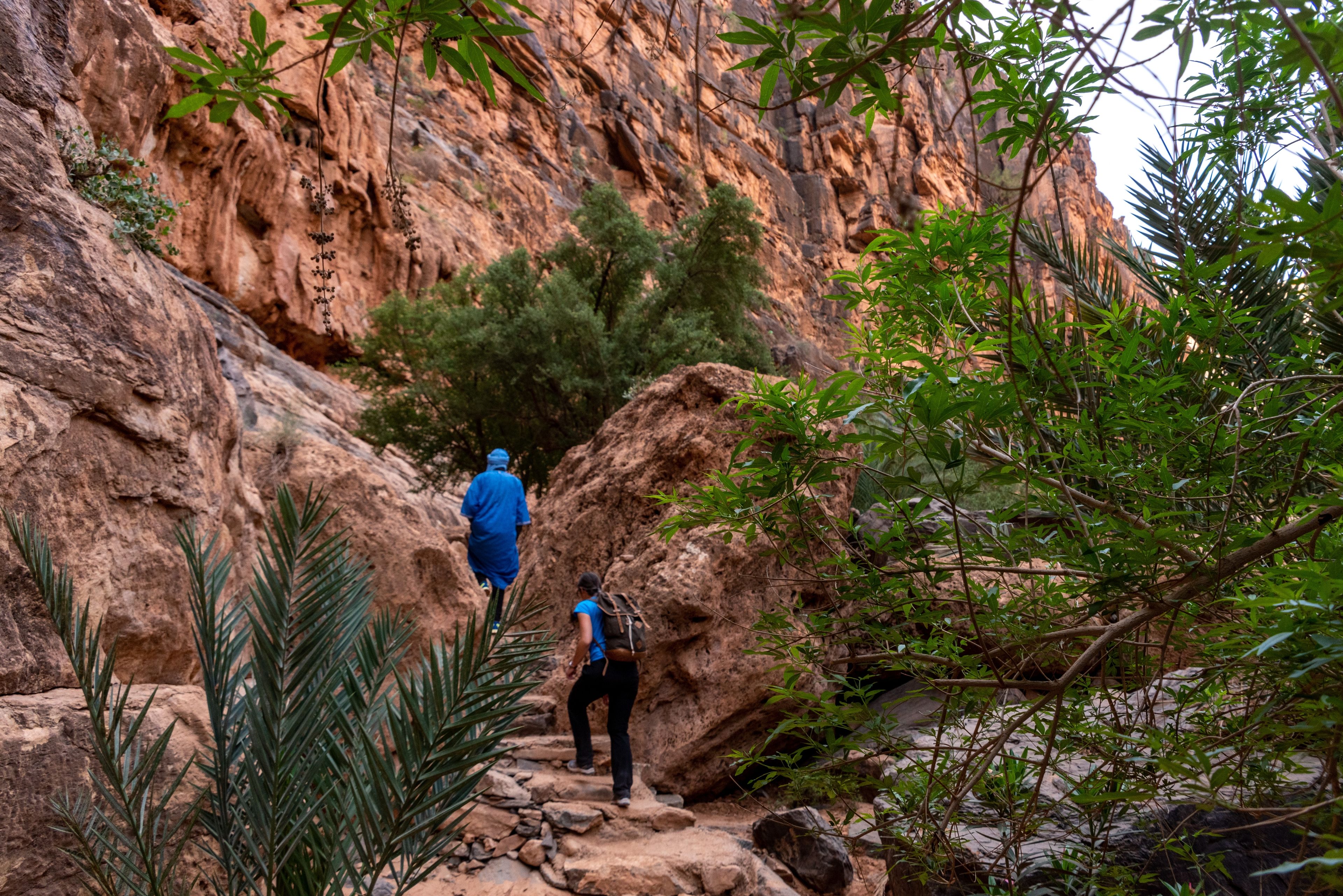 Trek Morocco: Atlas to Summit